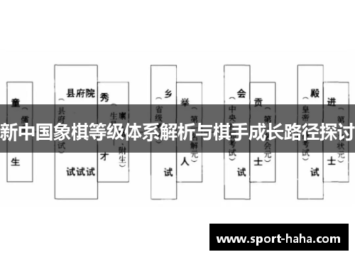 新中国象棋等级体系解析与棋手成长路径探讨